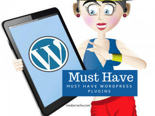 Must Have Wordpress Plugins You Should Have If You Are Serious